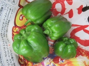 「夏野菜の収穫♪」の画像