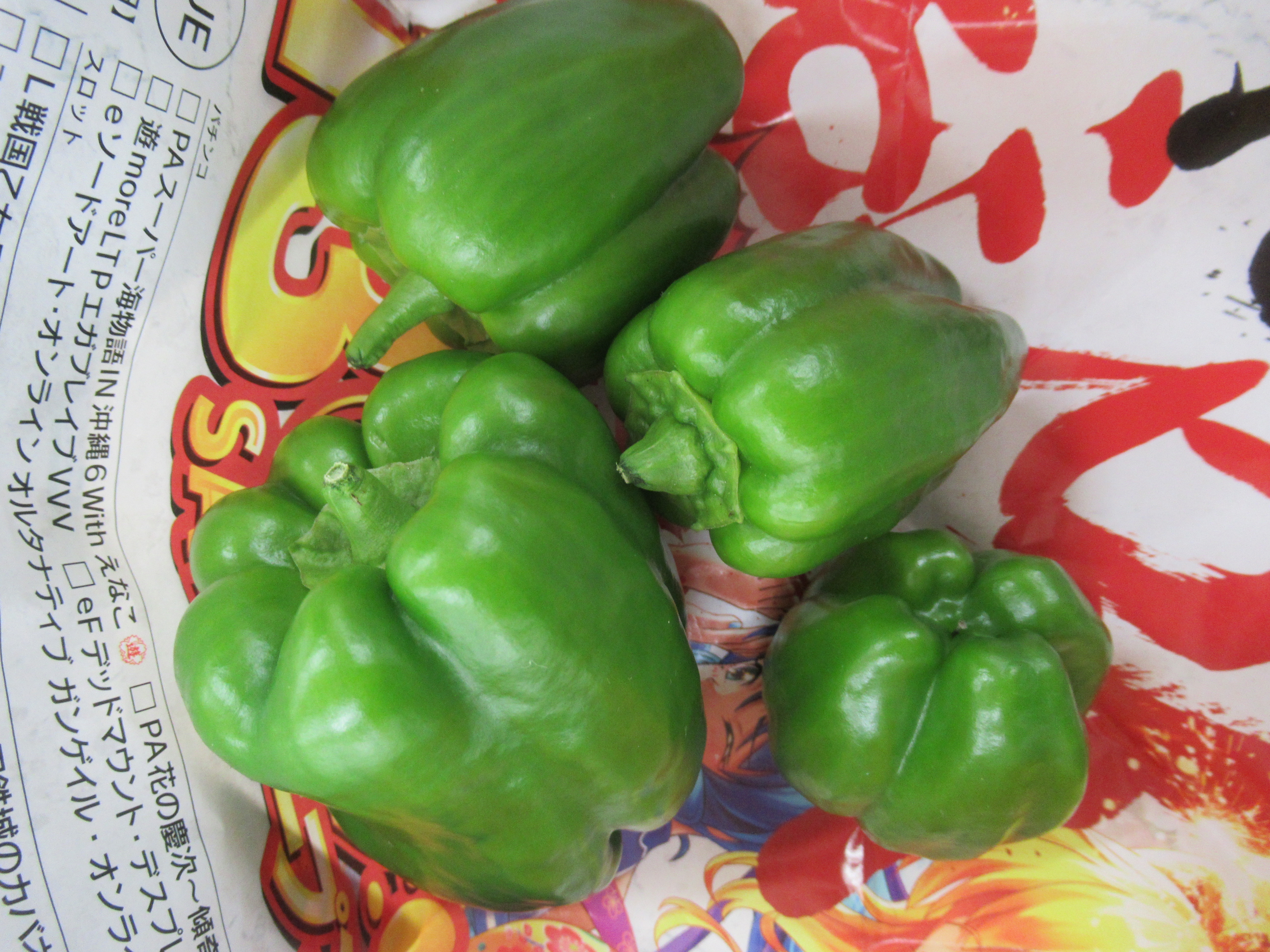 「夏野菜の収穫♪」の画像